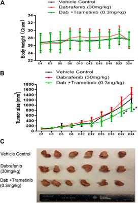 The Tubulin Inhibitor VERU-111 in Combination With Vemurafenib Provides an Effective Treatment of Vemurafenib-Resistant A375 Melanoma